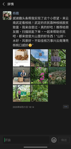 （杨霞在朋友圈为武定核桃带货）