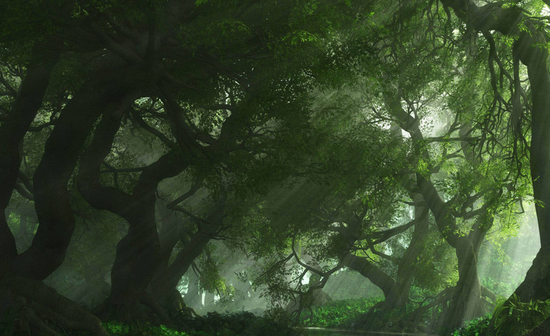 中国绿色经济发展已在世界前列