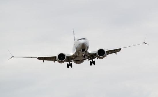 3月13日，一架波音737 Max 8型号飞机准备降落在美国首都华盛顿附近的里根机场。 新华社 图
