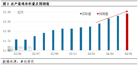 卓创资讯:4月在产蛋鸡存栏量增加 5月增势仍将持续