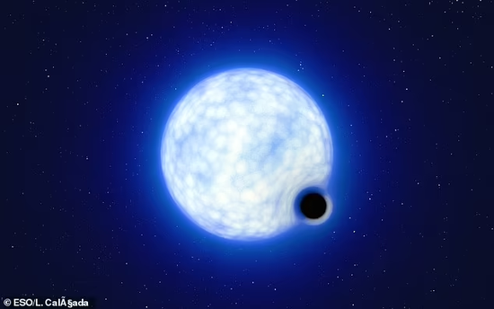 图中是艺术家描绘的VFTS 243双星体系统。它位于大麦哲伦星系中的狼蛛星云，这颗伴星是一颗炽热蓝色恒星，质量是太阳25倍，“休眠黑洞”的质量至少是太阳质量9倍以上。