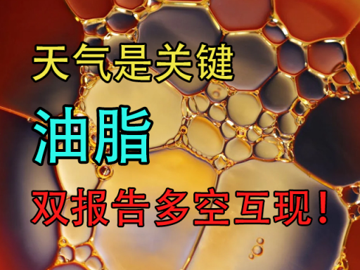 油脂:天气是关键,双报告多空互现!