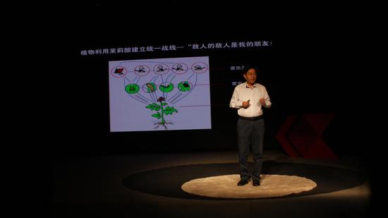 中科院遗传与发育生物学研究所研究员李传友