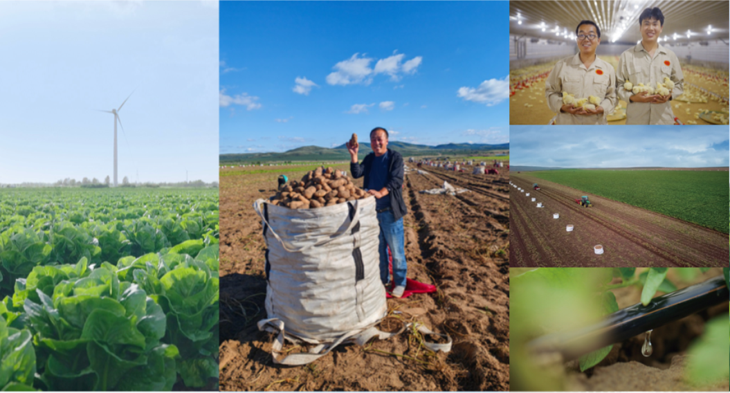 农情美味包含麦当劳中国对于农场好食材、农人超用心和农业深底蕴的关注