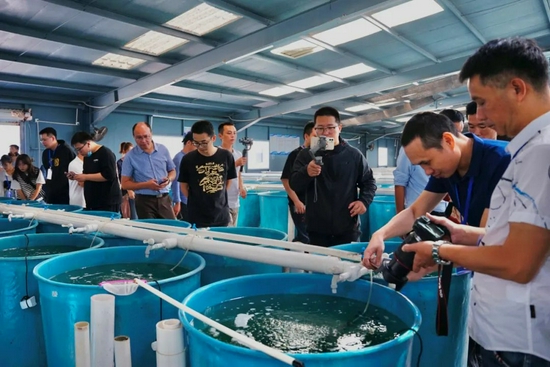 在福建绅蓝生物科技有限公司,网络媒体代表们参观了海马养殖及