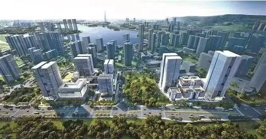 湖里出海记｜一站式赋能，助力企业勇闯开放浪潮