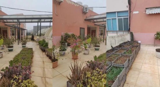 湖里区藏了座“空中茶社”，你打卡了吗？