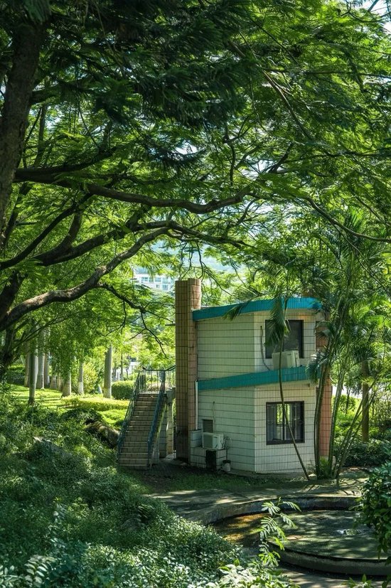 湖里这个「梦核公园」最近火了！你去了吗？