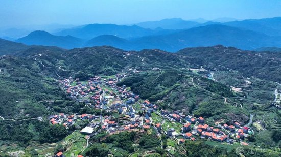 “沿着总书记的足迹”系列调研行②   一批制茶机 一条共富路