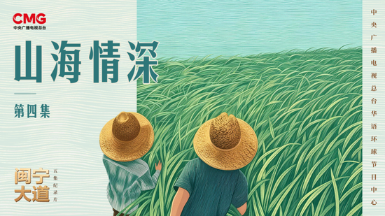 从被照亮，到去发光，《闽宁大道》这些故事让人泪目