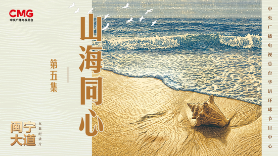 为全球减贫贡献中国智慧！《闽宁大道》山海同心