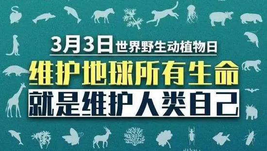 病毒无国界,打击涉野生动物犯罪不仅需要一国的努力,更需要跨国的打击