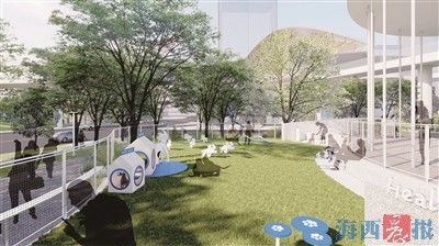 疏林草地、宠物乐园……湖里坂美公园升级改造