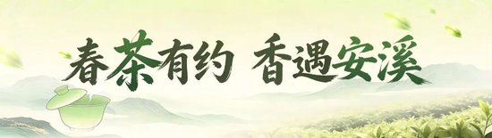 倒计时1天！2026安溪铁观音开茶季来了