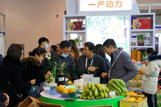 云霄县副县长汤永坚推介地标名产