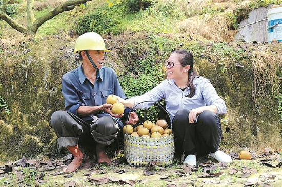 艾美龄在果山收购梨子时与果农拉家常