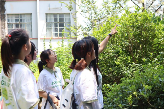 图3 实践队队员于长安山公园开展药用植物资源调查 吕如泓 摄