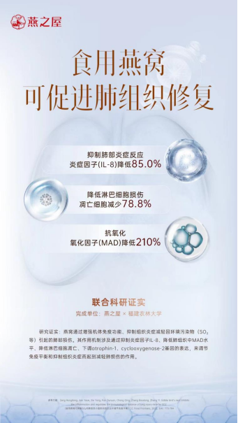 燕之屋“食用燕窝促进肺组织修复实验”