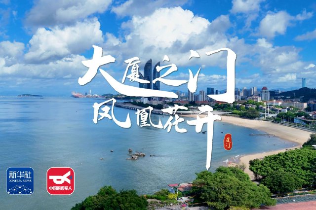 你好，双拥城｜厦门：大厦之门 凤凰花开