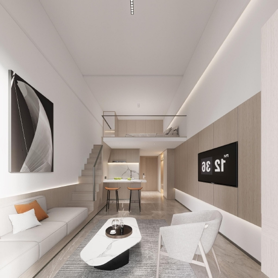 图注：项目公寓产品效果示意图