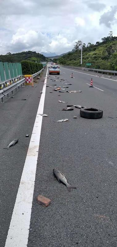 漳州皮卡车侧翻高速一车活鱼变烤鱼