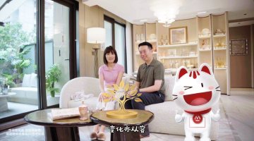 家有招财树，变化亦从容