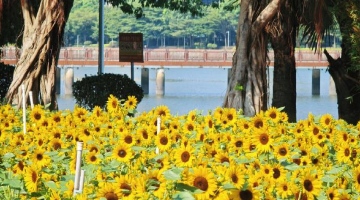 #厦门每个季节都有不一样的风景#