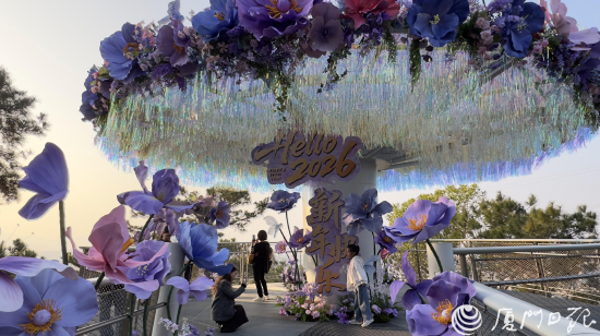 宛如童话秘境！厦门山海健康步道观景台焕新亮相