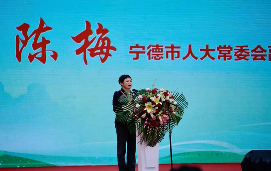 兴福鼎白茶迎幸福小康第九届福鼎白茶开茶节于白茶之乡隆重开幕