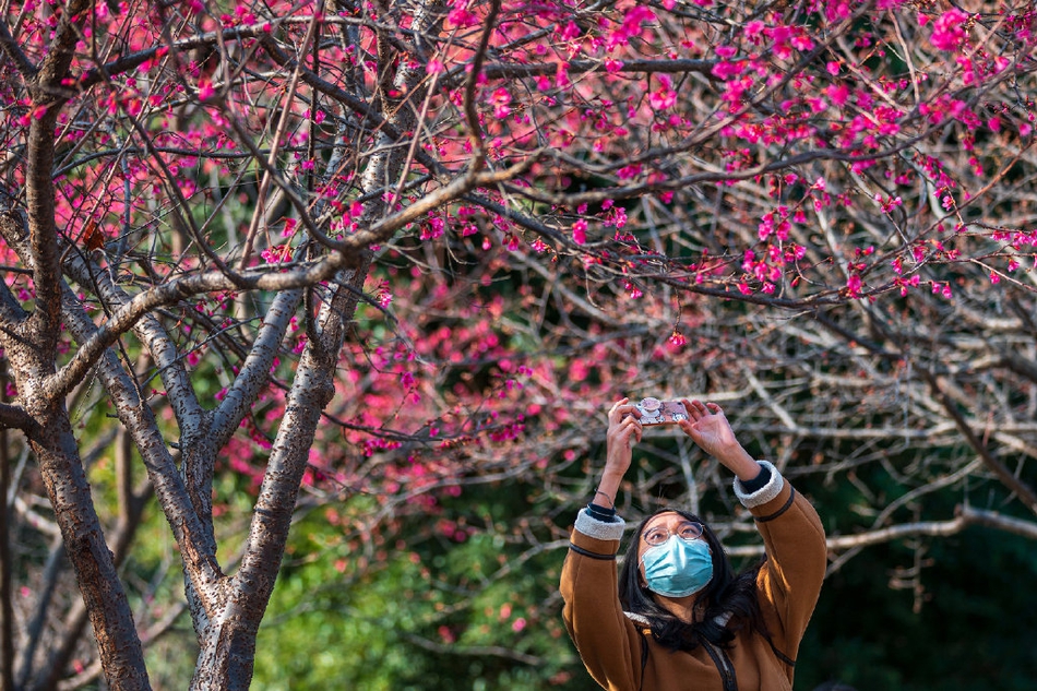 作文清明节