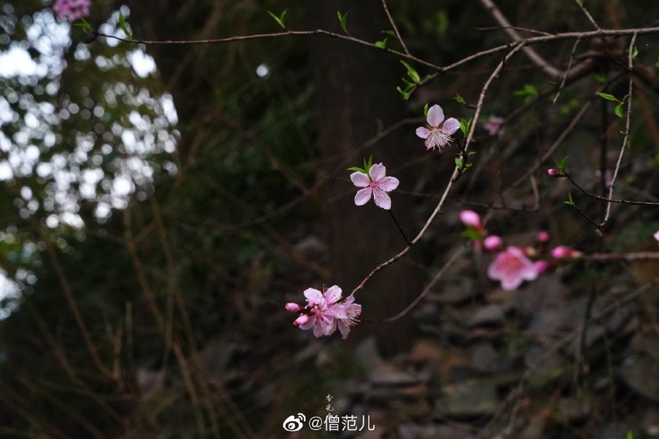 四年级下册必考题数学期末(四年级下册数学必考题)