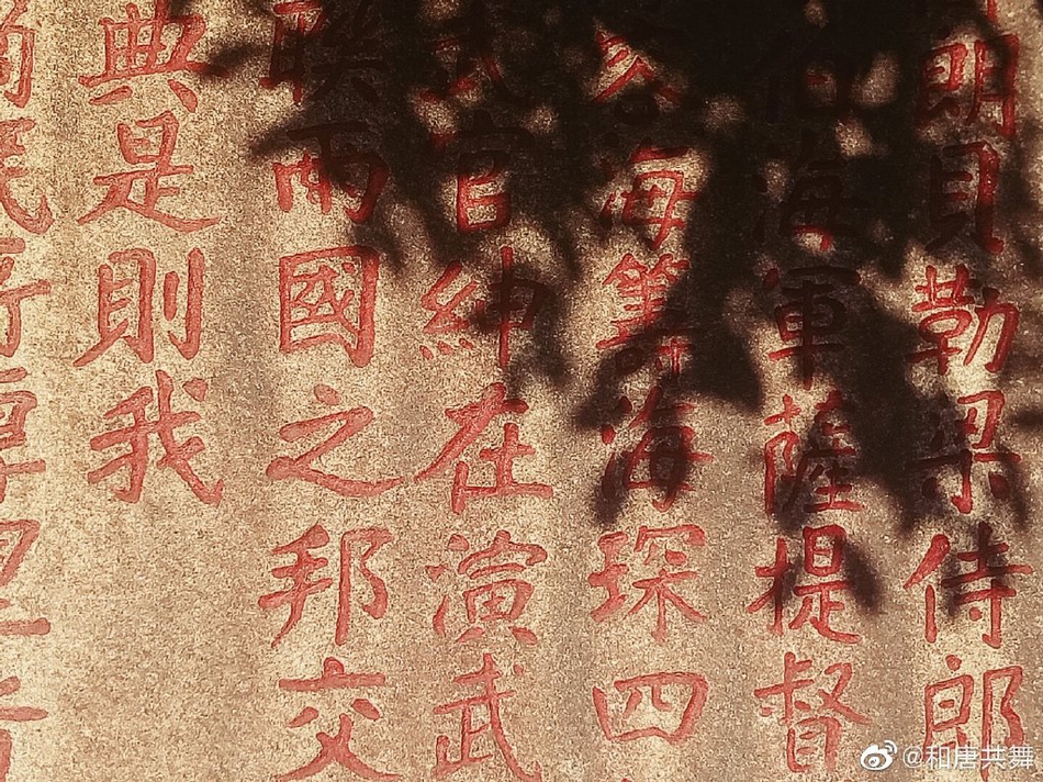 露营必备,露营要哪些装备··