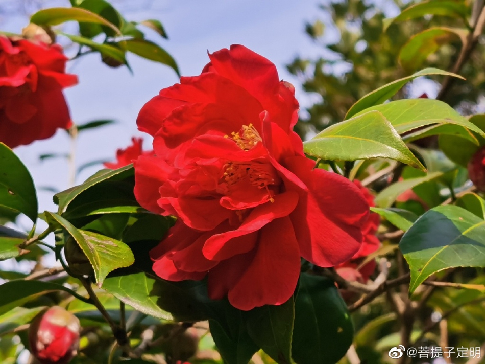 苹果软件下载链接,苹果手机软件下载网址、、