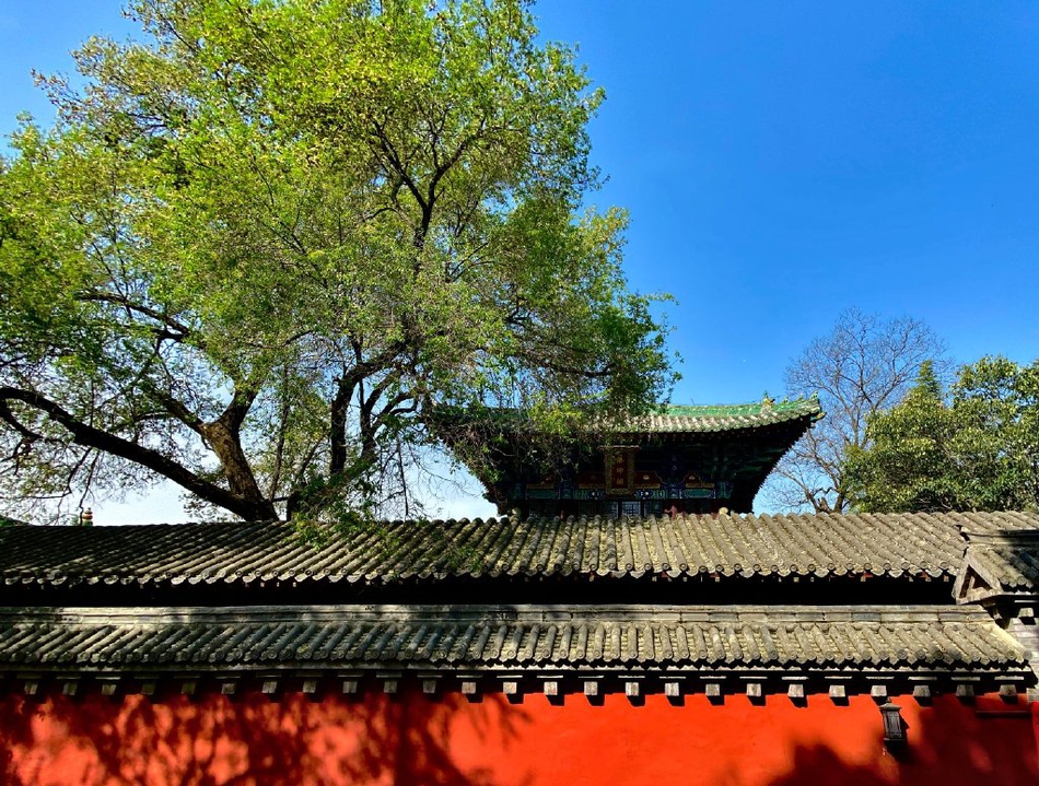 禅意摄影:少林寺红墙绿瓦_高清图集_新浪网
