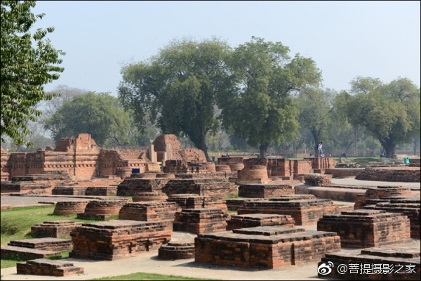 6/ 9佛教圣地鹿野苑,2500多年前,佛陀在这里为五比丘传法,僧团始成