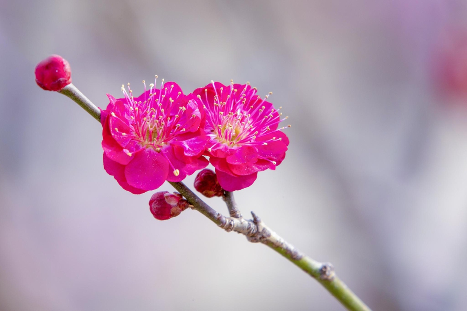 写雨景的作文