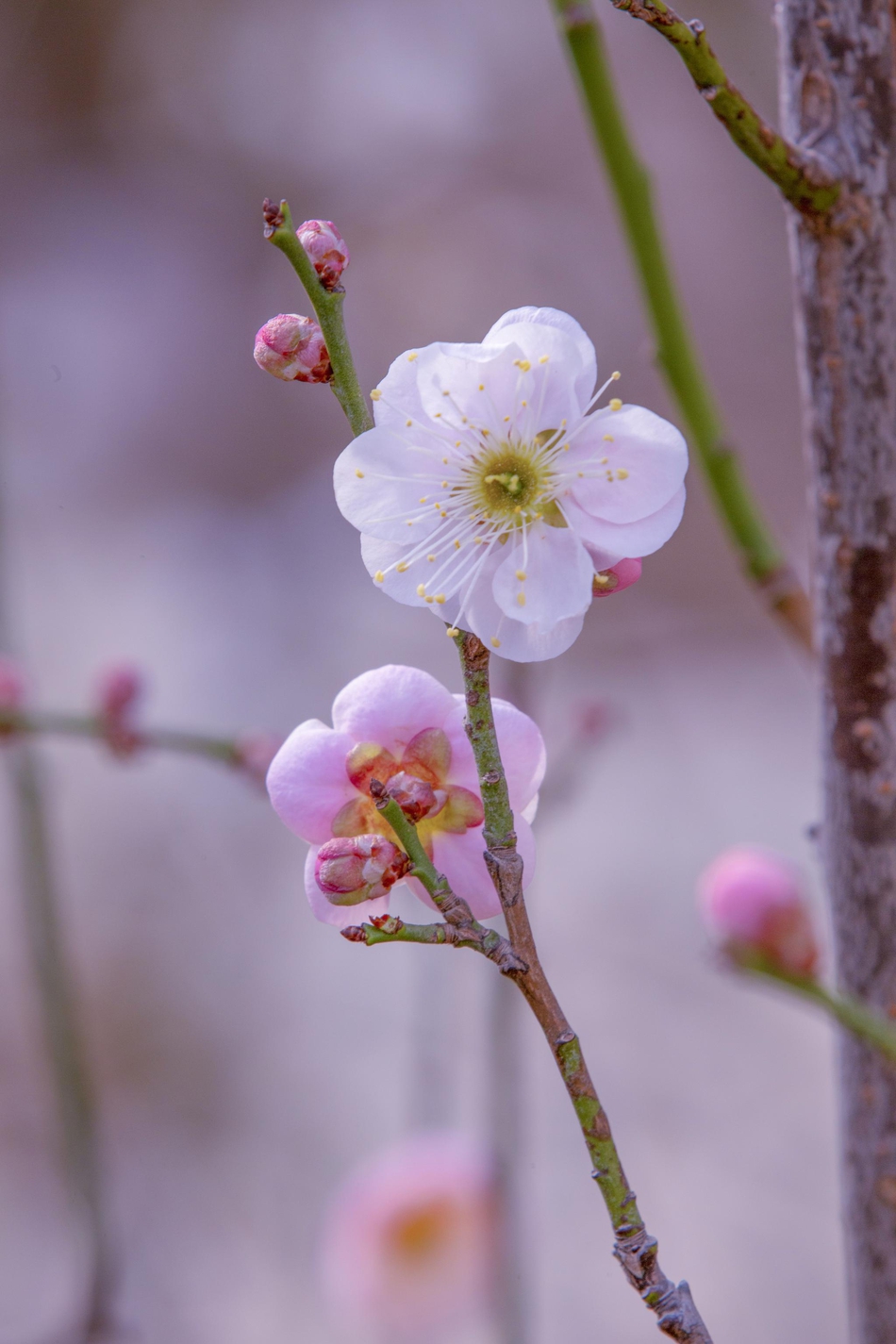 《穷人》原文(穷人原文结局是幻想吗)