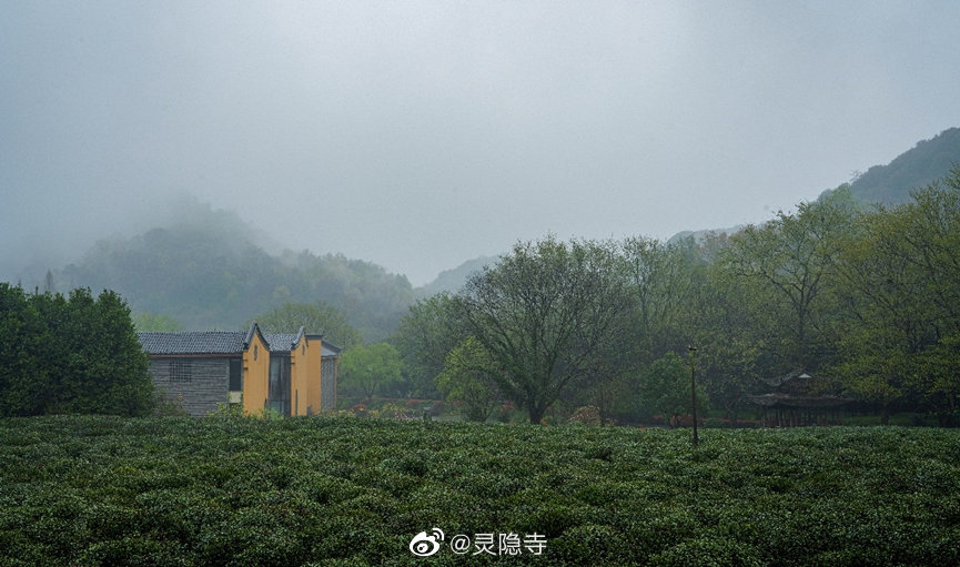 惠州龙门铁泉(惠州龙门温泉)