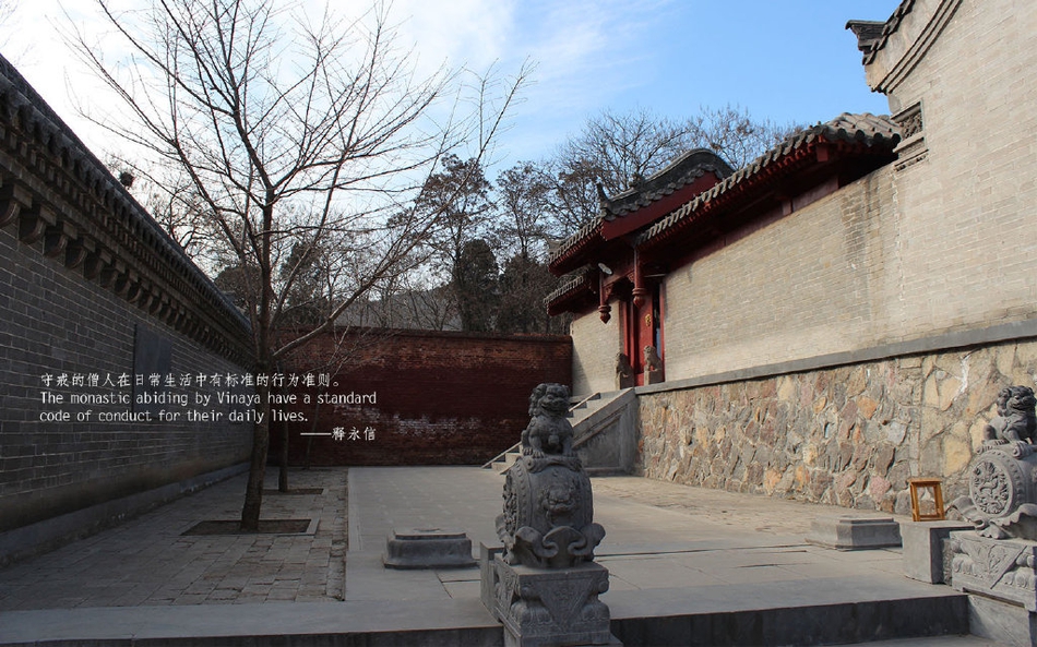 老君山景区,老君山景区官网