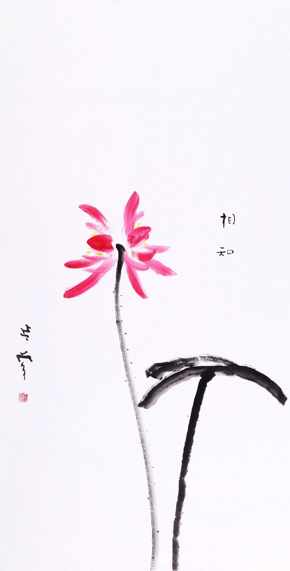 延参法师手绘并蒂莲_高清图集_新浪网