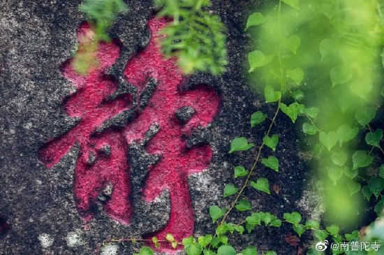 妄念纷飞、静不下心?为你解开疑惑(来源:南普陀寺)