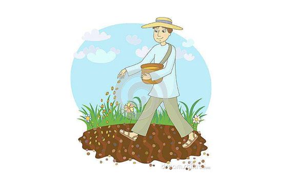 在春天里播撒一片善种