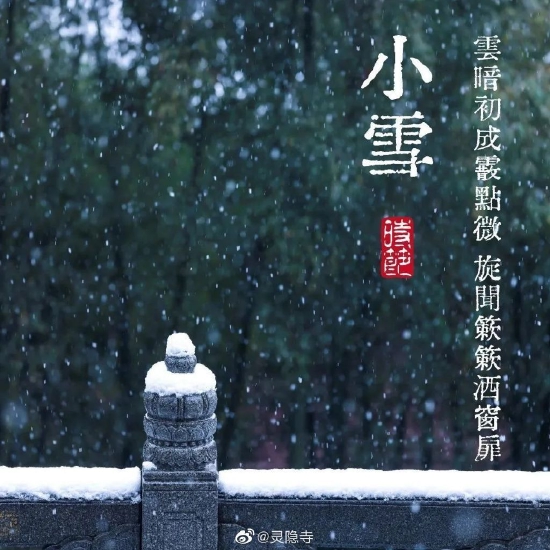 满目纷纷呈瑞雪，填沟塞壑谁辨别。（图片来源：@灵隐寺）