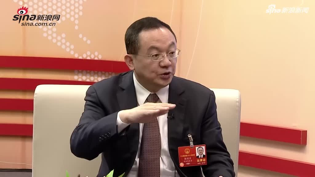 人大代表娄底市长杨懿文区块链重建娄底信用体系