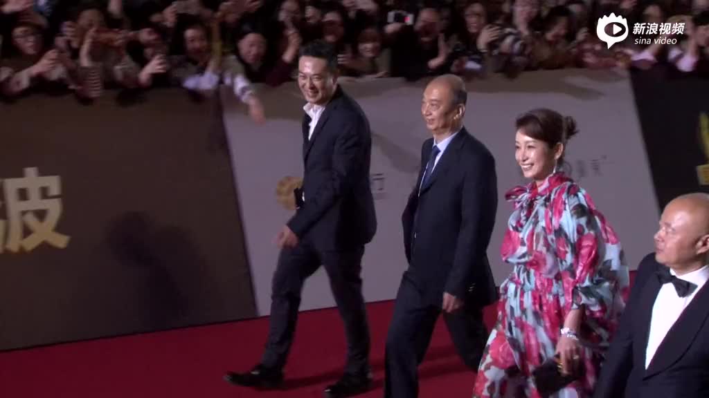 飞天奖红毯张嘉译秦海璐亮相