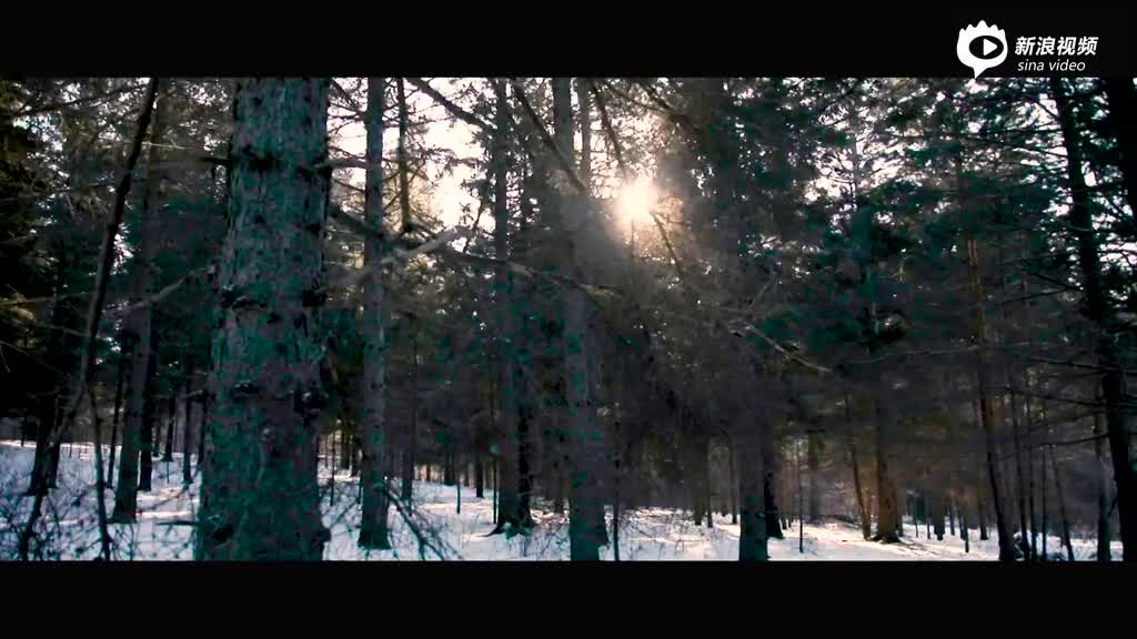 欧尚COS1°测试视频