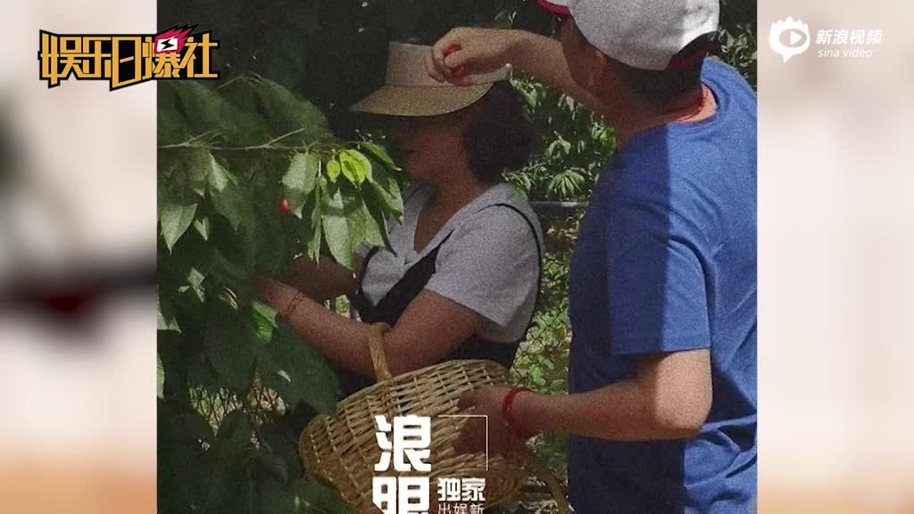 蒋勤勤挺孕肚摘樱桃