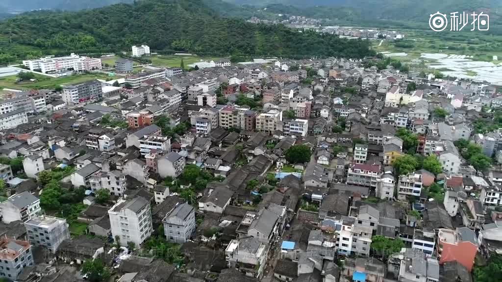 温州——枫林镇