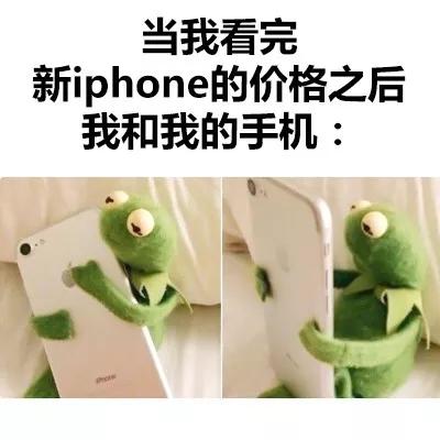 iphonexs和iphonexsmax搞笑表情包20张,拿走不谢