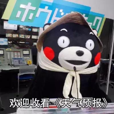 表情包现在为大家播放天气预报67676767